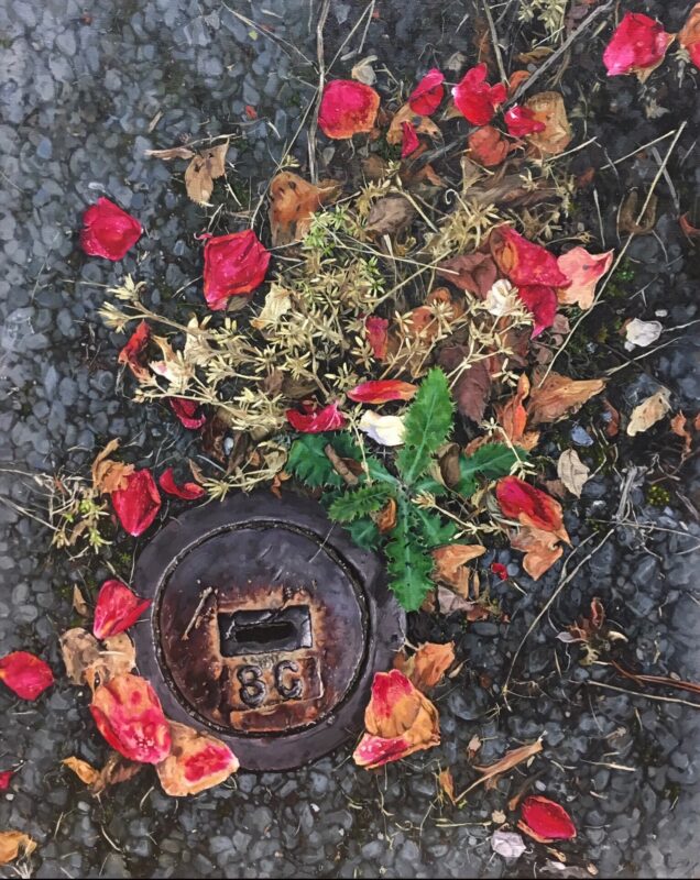 8c with thistle and rose petals