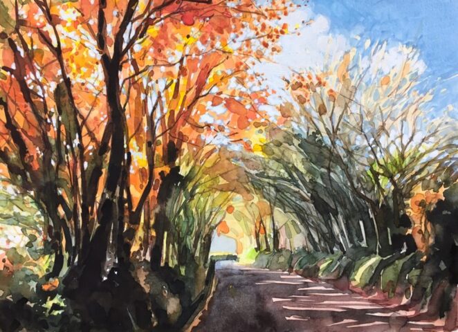 Autumn colours in sunlight