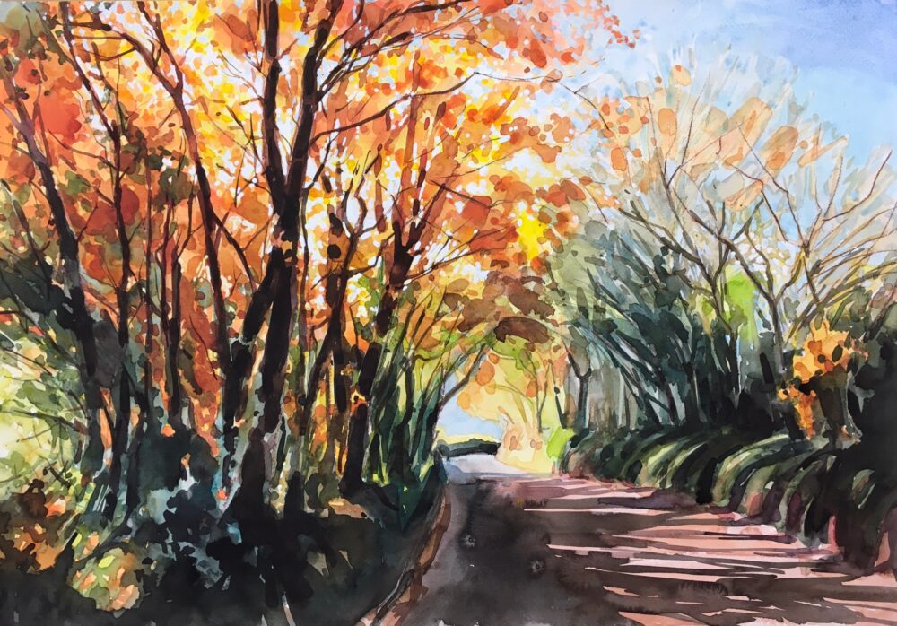 Autumn colours in sunlight ii