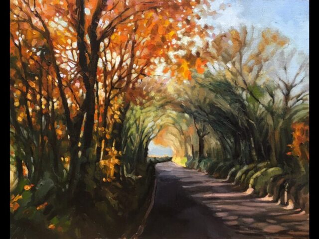 Autumn colours in sunlight iii