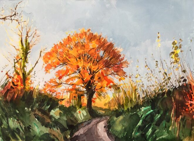 Autumn colours in sunlight, oak