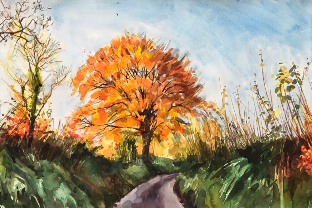 Autumn colours in sunlight, oak ii