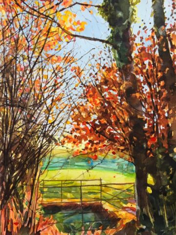 Autumn colours in sunlight, sheepfold