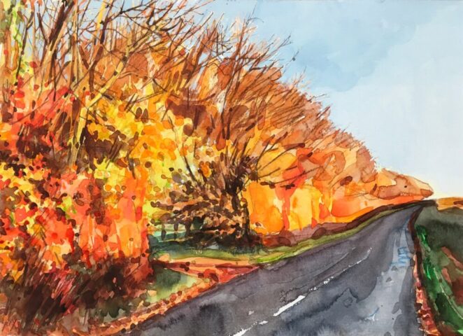 Autumn colours in sunlight above lyddons hill