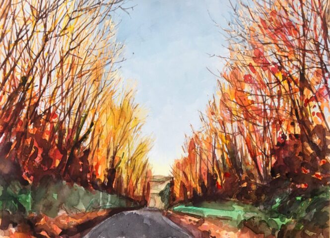 Autumn colours in sunlight near pulhams mill