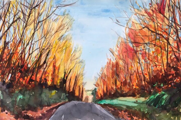 Autumn colours in sunlight near pulhams mill ii