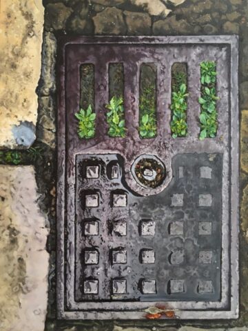 Counting plants in manhole cover