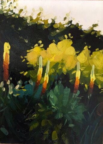 Detail, yellow flower bed, yeo valley garden