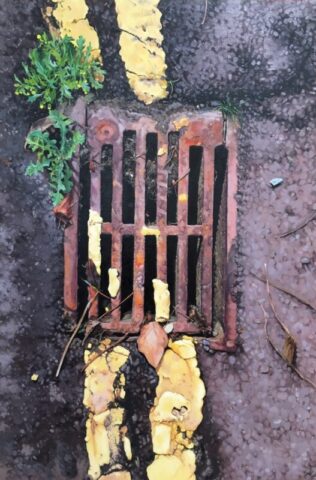 Double yellow lines with yellow flowers