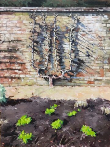 Espalier tree, west dean garden