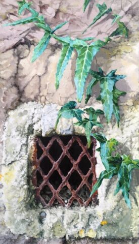 Ivy around grille in the wall
