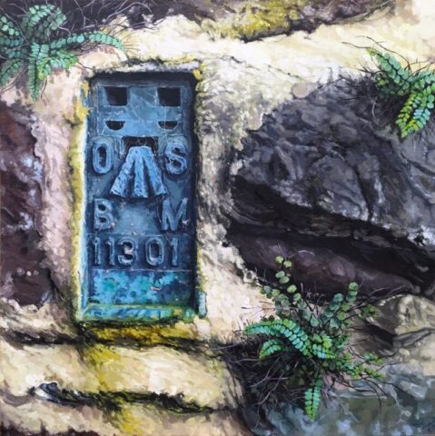 Osbm 11301 and maidenhair spleenwort
