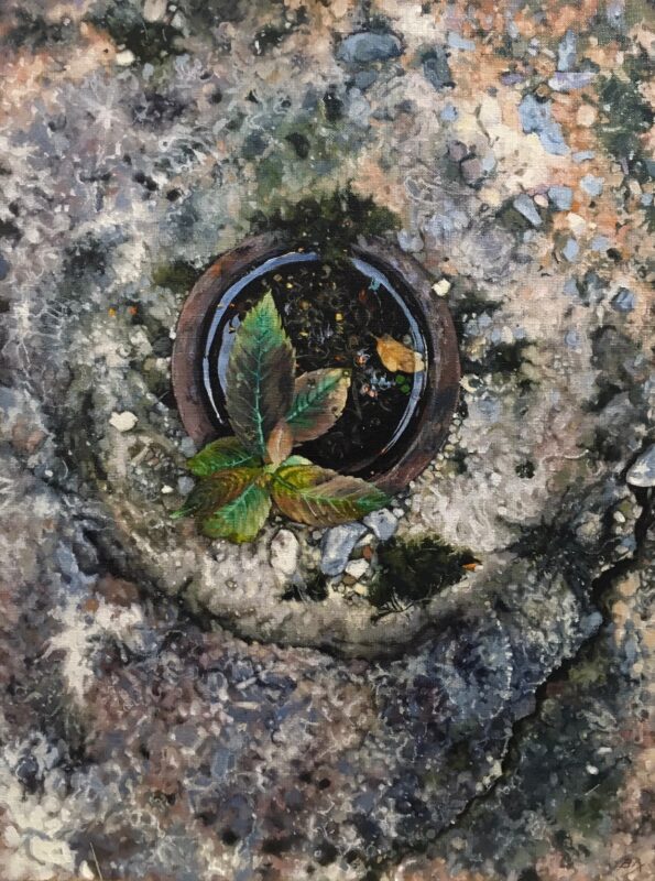 Reflection in old post hole