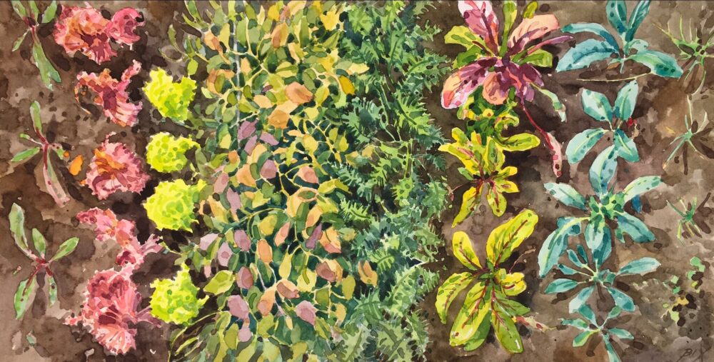 Vegetable bed, lost kitchen