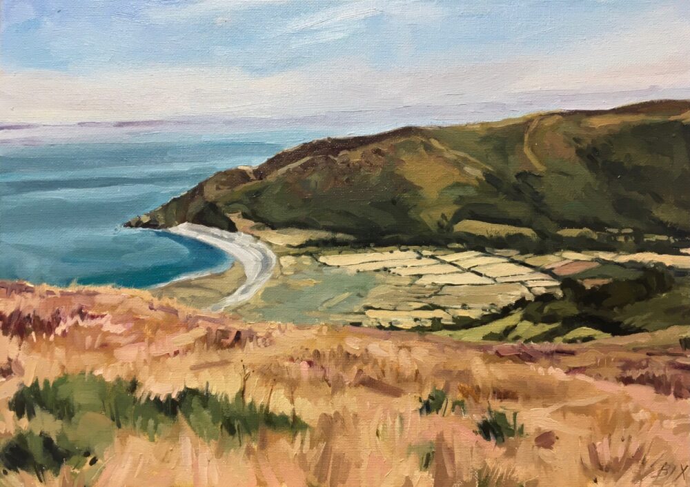 View of porlock bay i