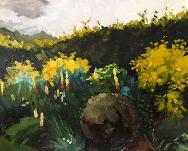 Yellow flower bed, yeo valley garden